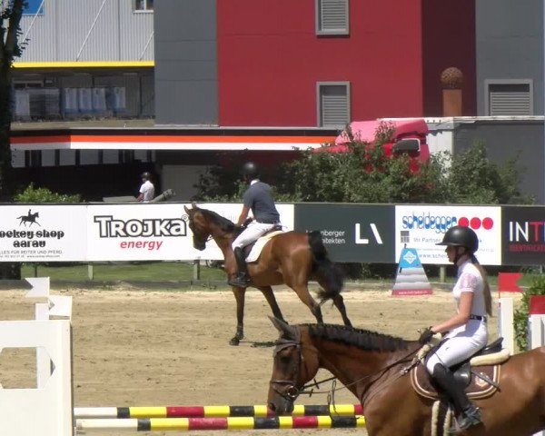 Reitturnier Dagmersellen 2022