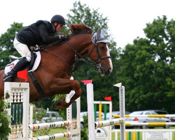 horse Enrique van het Vennehof (Belgian Warmblood, 2004, from Darco)