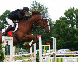 Pferd Enrique van het Vennehof (Belgisches Warmblut, 2004, von Darco)