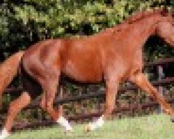 broodmare Lutetia (Rhinelander, 2007, from Lord Loxley I)