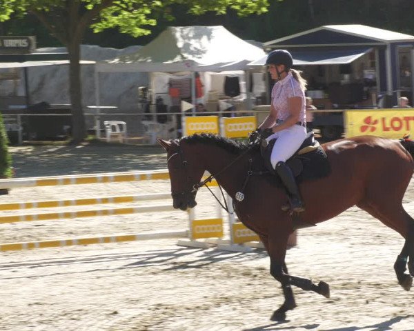 Reitturnier Heiligenwald 2022