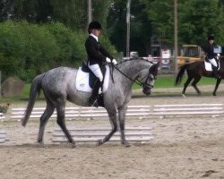 Zuchtstute Hydalra (Trakehner, 2004, von Key West)