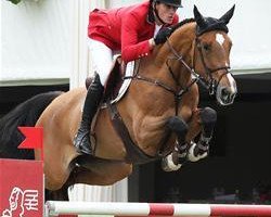 broodmare Citizenguard Cadjanine Z (Zangersheide riding horse, 2002, from Canabis Z)