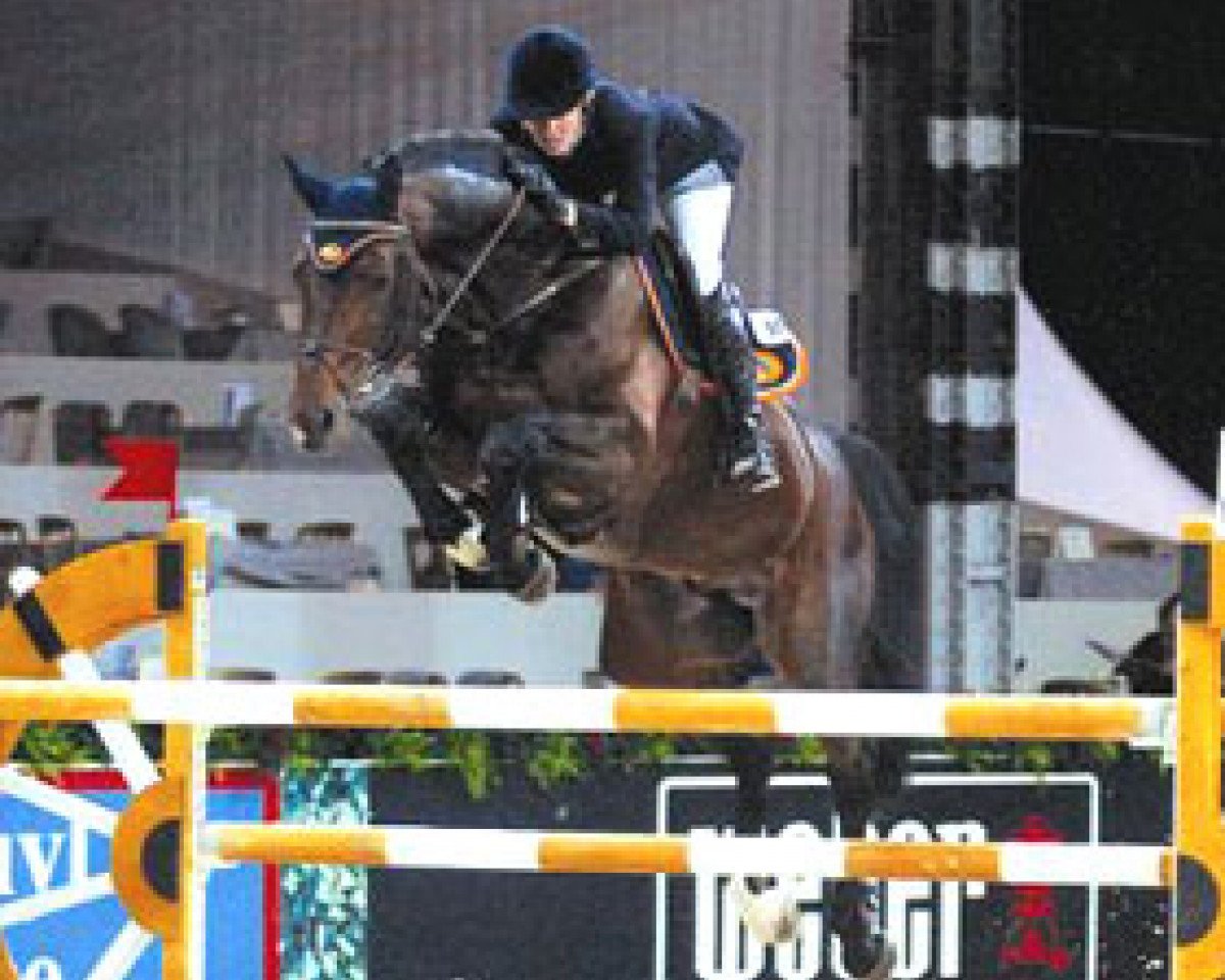 stallion Careful 28 (Oldenburg, 1995, from Contender)