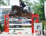 jumper Convertan (German Sport Horse, 2005, from Converter I)