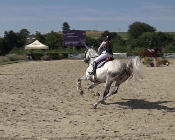 Reitturnier Weiswampach 2022