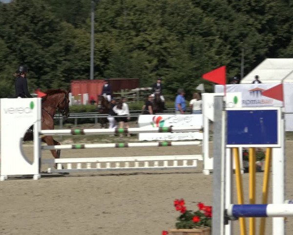 Reitturnier Weiswampach 2022