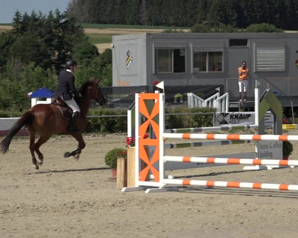 Reitturnier Weiswampach 2022