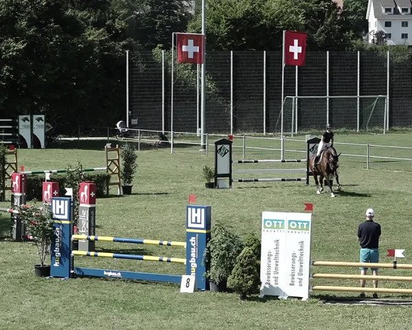 Reitturnier Elgg 2022