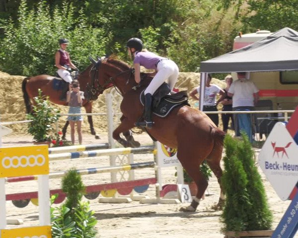 Reitturnier Heiligenwald 2022