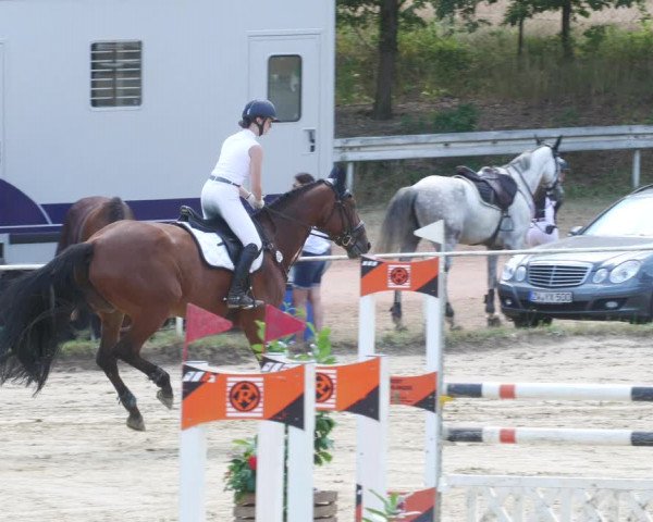 Reitturnier Heiligenwald 2022