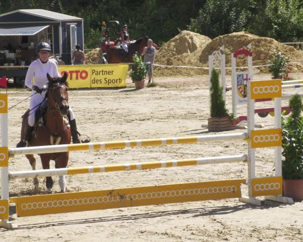 Reitturnier Heiligenwald 2022