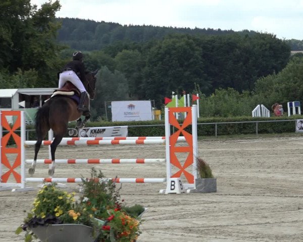 Reitturnier Weiswampach 2022
