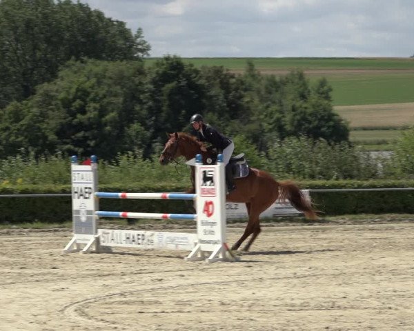 Reitturnier Weiswampach 2022