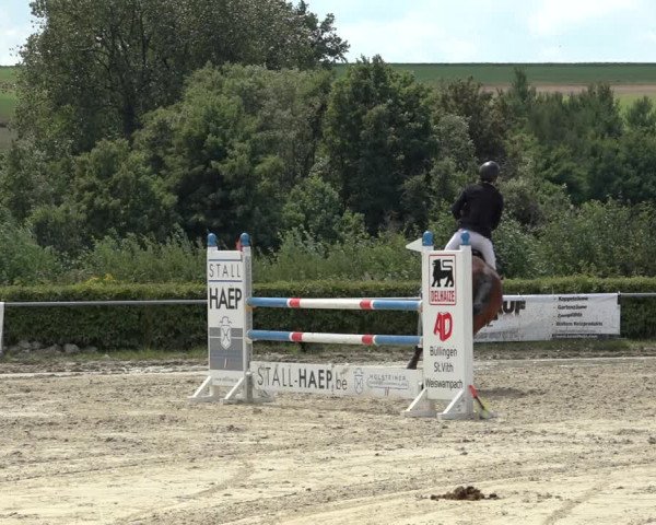 Reitturnier Weiswampach 2022
