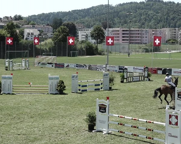 Reitturnier Elgg 2022