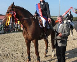 Pferd Chetak (Oldenburger, 1999, von Cordial Medoc)