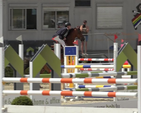 Reitturnier Weiswampach 2022