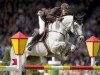 broodmare Silvana (KWPN (Royal Dutch Sporthorse), 1999, from Corland)