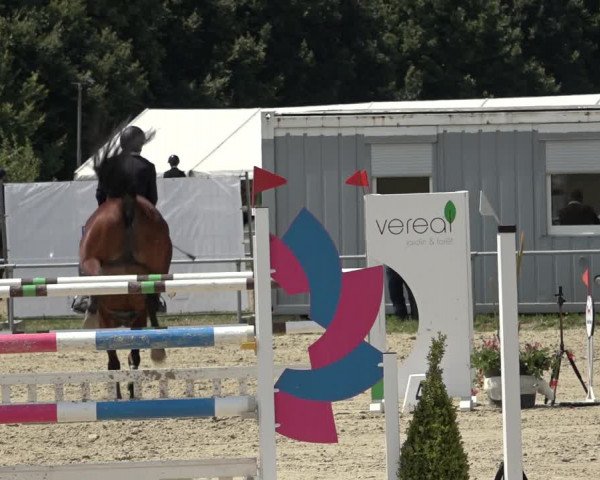 Reitturnier Weiswampach 2022