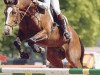 horse Anrit (Hanoverian, 1995, from Andiamo)