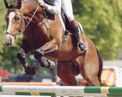 horse Anrit (Hanoverian, 1995, from Andiamo)