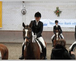 dressage horse Pacco 109 (German Warmblood, 2003, from Papilon ox)