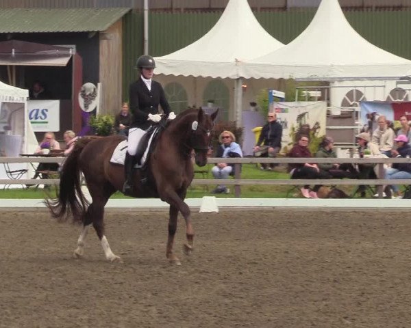 Reitturnier Kleinsolt 2022
