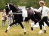 horse Roncalli xx (Thoroughbred, 1978, from Priamos xx)