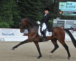 dressage horse Bellheim 7 (Westphalian, 2004, from Belissimo NRW)