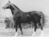 stallion Duell II (Hanoverian, 1959, from Duellant)