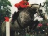 stallion Alasca (Holsteiner, 1985, from Ahorn Z)