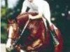 stallion Grafenstein (Oldenburg, 1985, from Grundstein I)