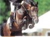 stallion Carry (Holsteiner, 1995, from Coronado I)