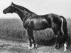 stallion Komet (Trakehner, 1952, from Goldregen)