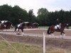 dressage horse Wescalina 3 (Hanoverian, 2000, from Weltmeyer)