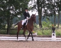 dressage horse Limerick 111 (Oldenburg, 2004, from Laurentio)