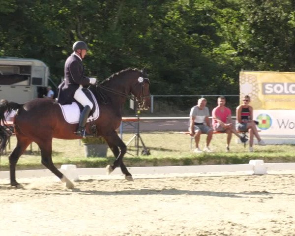Reitturnier Heiligenwald 2022