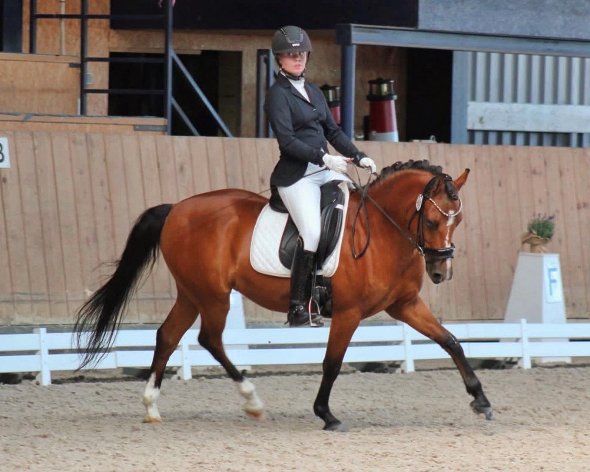 dressage horse Nanouk 21 (German Riding Pony, 2013, from Nemax)