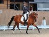 dressage horse Nanouk 21 (German Riding Pony, 2013, from Nemax)