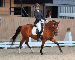 dressage horse Nanouk 21 (German Riding Pony, 2013, from Nemax)