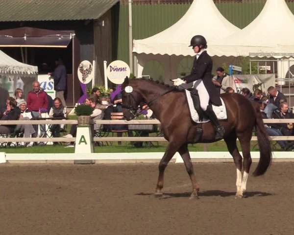 Reitturnier Kleinsolt 2022