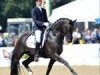 dressage horse Boston Sth (KWPN (Royal Dutch Sporthorse), 2006, from Glock's Johnson Tn)