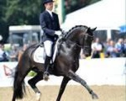 dressage horse Boston Sth (KWPN (Royal Dutch Sporthorse), 2006, from Glock's Johnson Tn)