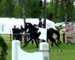 jumper Rabea M (Hanoverian, 1996, from Rabino)