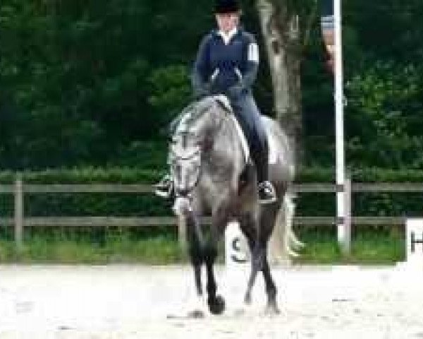 broodmare Babushka Rth (KWPN (Royal Dutch Sporthorse), 2006, from Universeel)
