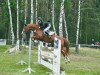 jumper Winterkönig (Hanoverian, 2001, from Wanderkönig)