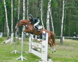 jumper Winterkönig (Hanoverian, 2001, from Wanderkönig)