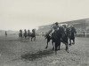 Pferd Antonia xx (Englisches Vollblut, 1926, von Herold xx)