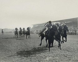 broodmare Antonia xx (Thoroughbred, 1926, from Herold xx)